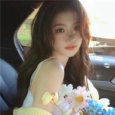 一鸣惊人之以梦为马